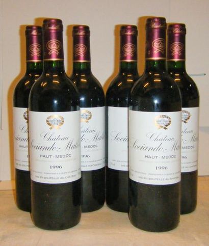 null 6 bouteilles SOCIANDO MALLET 1996