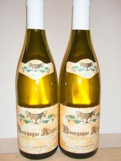 null 2 bouteilles BOURGOGNE ALIGOTE - JF COCHE-DURY 2007