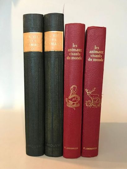 null Charles J. CORNISH : Les Animaux Vivants du Monde - Ernest Flammarion éditeur...