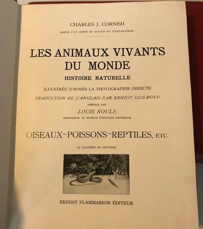 null Charles J. CORNISH : Les Animaux Vivants du Monde - Ernest Flammarion éditeur...