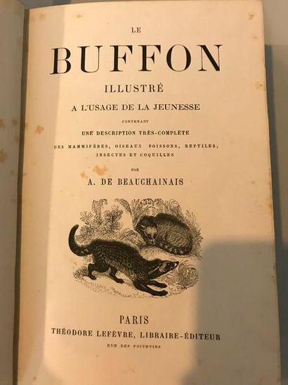 null A. de BEAUCHAINAIS
Le Buffon illustré à l'usage de la jeunesse - Théodore Lefevre...