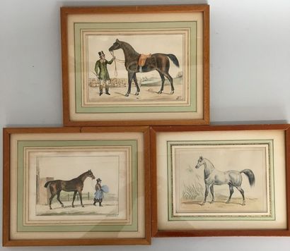 null Chevaux Suite de 6 gravures - 12,5x18cm/12x17cm/11x15,5cm