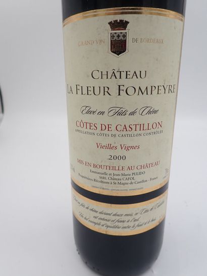 null COTES DE CASTILLON, Château La Fleur Fompeyre, vieilles vignes 2000 (8 bout...