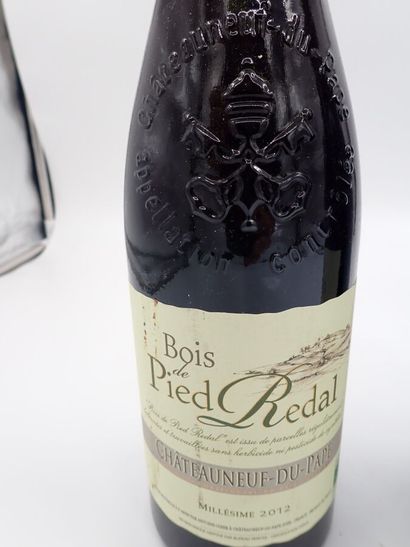 null CHATEAUNEUF DU PAPE, Domaine Antoine Ogier, bois de pied Redal 2012 (2-bouteilles),...