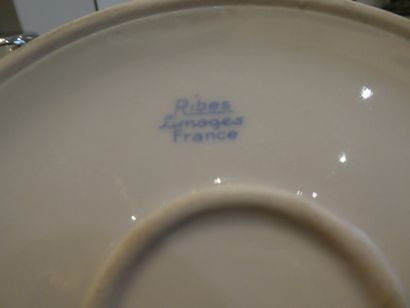 null LIMOGES FRANCE (porcelaine Ribes) assiette à bouillie en porcelaine à décor...