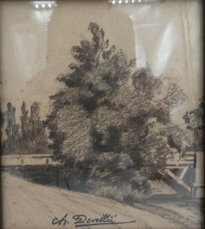 null DEVILLIE Charles (1850-1905), "Arbres à Beaulieu", crayon cachet en bas au milieu,...