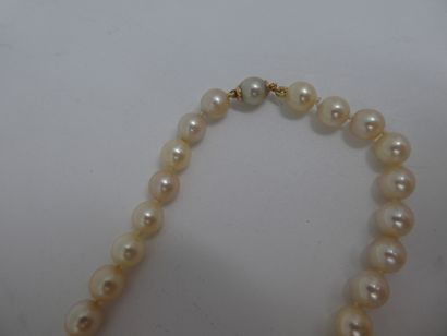 null Un collier en perles de culture shoker, diamètre 7 mm, fermoir en or jaune,...