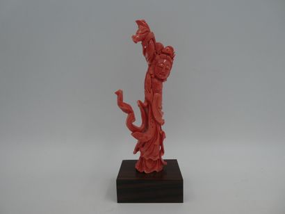 null Un sujet en corail sculptée Kwan Yin, socle en bois, Chine, hauteur 16 cm sans...
