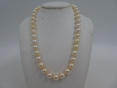 null Un collier en perles de culture shoker, diamètre 7 mm, fermoir en or jaune,...