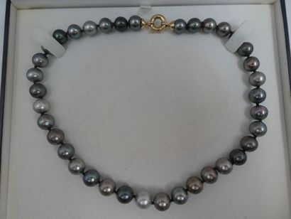 null Un collier Choker en perles de Tahiti 37 perles de différentes nuances de gris...