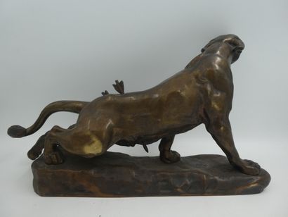 null VALTON Charles (1851 - 1918), "La Lionne blessée, bronze patiné, signé sur la...
