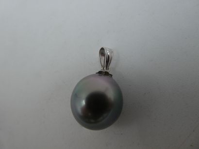 null Un pendentif or gris 750 millièmes orné d'une perle de Tahiti ovale, 3,20 gr...