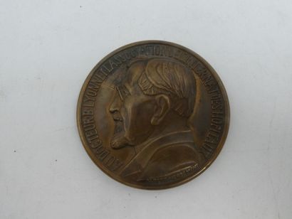null Une médaille en bronze HOTEL DIEU DE LYON Albert HERBEMONT, diamètre 6,6 cm