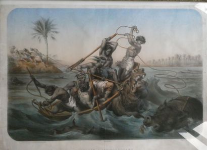 null DORE Gustave d'après "Chasse à l hippopotame", lithographie éditée à Paris chez...