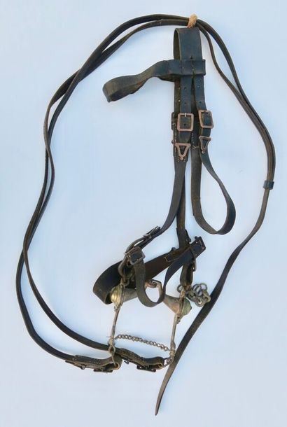 null Bridle with bits, entirely in black leather with copper buckles, bridle bits...