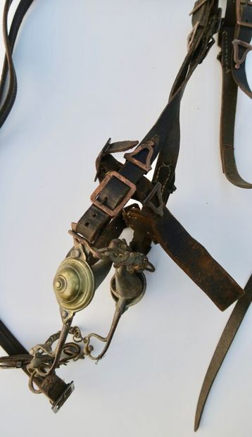 null Bridle with bits, entirely in black leather with copper buckles, bridle bits...