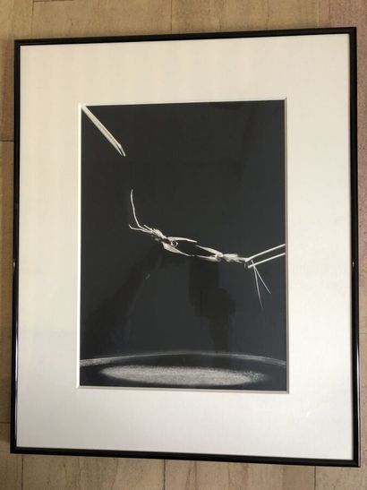 null Ecole contemporaine, photographie noir et blanc, 38 x 27 cm à vue