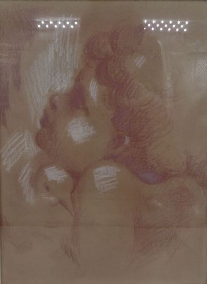 null Anonyme, "Tête de putto", sanguine et craie blanche, 29 x 21 cm à vue