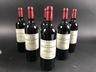 null Château MAYNE LABORIE, 2015, 6 blles.
