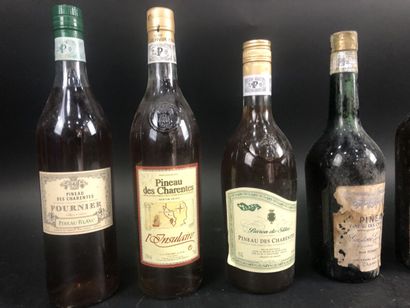 null Pineau des Charentes, 9 bouteilles dont 1 blanc de chez FOURNIER.