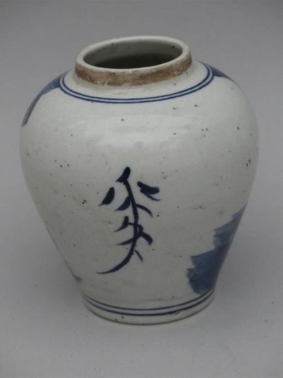 null Pot à gingembre en porcelaine blanc-bleu à décor de quilin
H : 15 cm
 (fel de...
