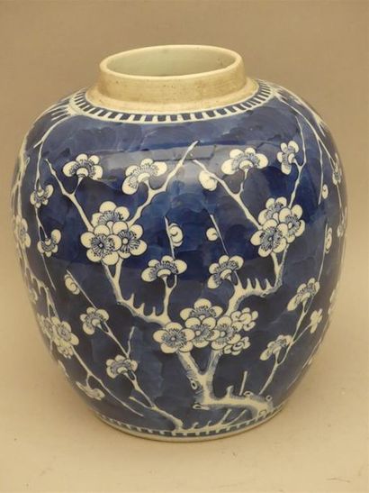 null Grand pot à gingembre en porcelaine bleu-blanc, décor en réserves de fleurs...