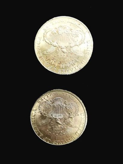null Deux pièces de 20 dollars or 1904 et 1893 