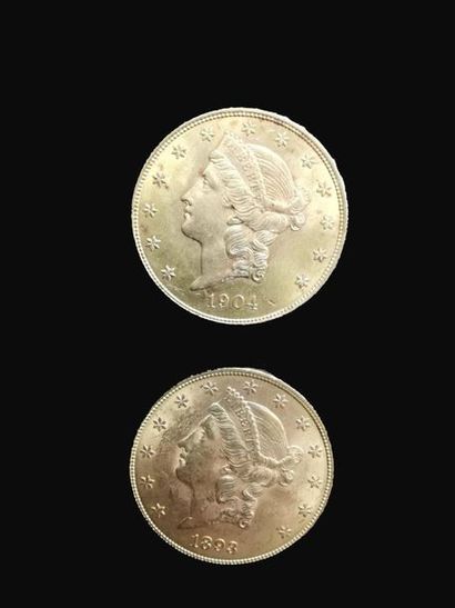 null Deux pièces de 20 dollars or 1904 et 1893 