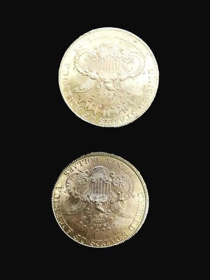 null Deux pièces de 20 dollars or 1904 et 1893 