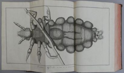 DIDEROT et D'ALEMBERT. ENCYCLOPÉDIE, ou Dictionnaire raisonné des Sciences, des Arts...