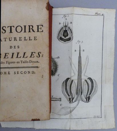 null [BAZIN (G.-A.)]. HISTOIRE NATURELLE DES ABEILLES. Paris, Guérin, 1747. Deux...