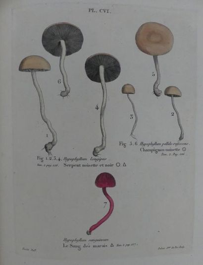 null [BOTANIQUE]. PAULET (Jean-Jacques). ICONOGRAPHIE DES CHAMPIGNONS. Paris, Baillière,...