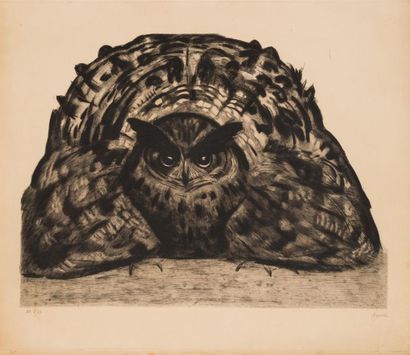 null Paul JOUVE (1878-1973)
Hibou : Le Grand Duc Ebouriffé, 1930
Eau forte , Epreuve...