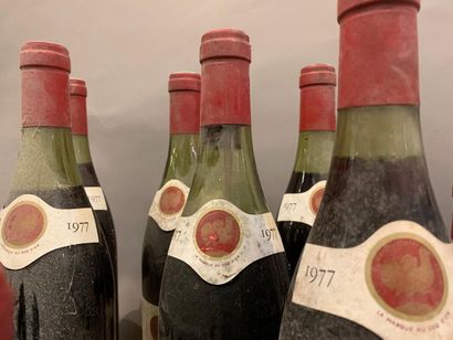 null 20	bouteilles 	CHAMBOLLE-MUSIGNY 		Poulet 	1977
