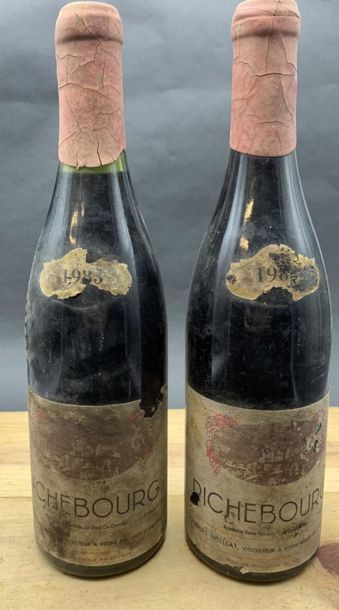 2	bouteilles 	RICHEBOURG, 		C. Noëllat 	1983	...