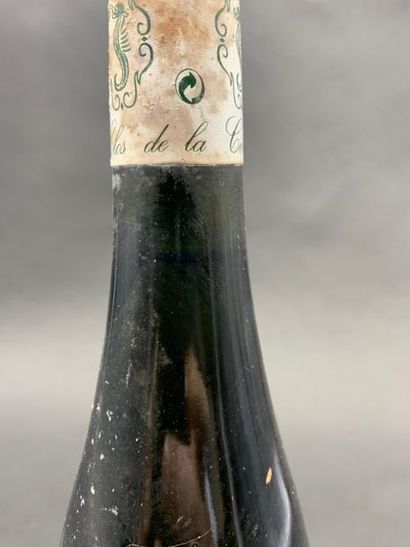 null 1	 bouteille 	SAVENNIÈRES 	"Clos de la Coulée de Serrant", 	N. Joly 	2004

