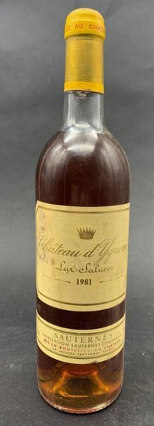 null 1	 bouteille 	CH. 	D'YQUEM, 1° cru supérieur 	Sauternes 	1981	 (B) 
