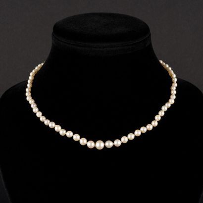 null Collier de perles de culture en chute Diam 3.3 à 7.4mm

L: 52 cm