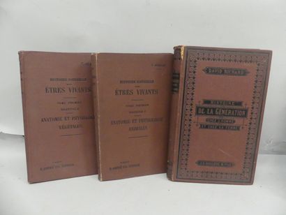 null [MEDECINE] lot de 5 volumes :

FAU. Anatomie artistique élémentaire du corps...