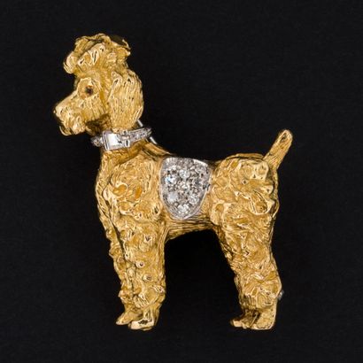 null 
Broche caniche diamants taille 8/8, monture or.




Poids brut : 17.6 g
