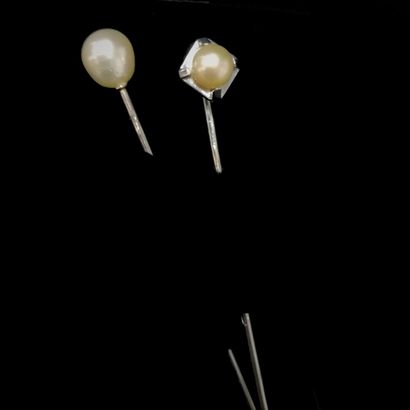 null Two gold and cultured pearl tie pins 

Gross weight : 4 g