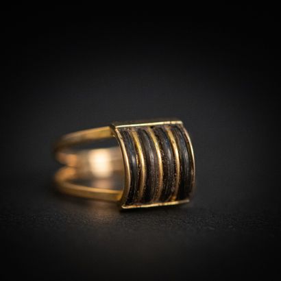 null Elephant hair bridge ring, gold setting 

Gross weight: 5.9 g - Finger: 63