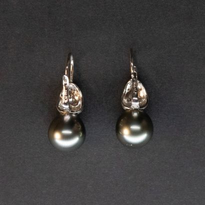 null Paire de pendants d'oreilles perle de culture grise 9 mm environ, pavage diamants...