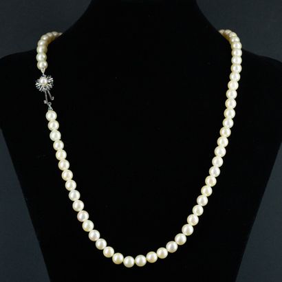 null 
Collier de perles de chute, 7.5 mm environ, fermoir or gris 




Vers 1960




...