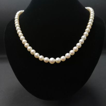 null 
Collier perles de culture baroque en chute, diam: 6 à 8.5 mm, fermoir en or...