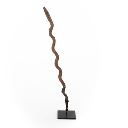 null FON- BENIN 

Ritual iron representing the serpent divinity Dan 

H: 44 cm