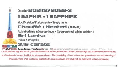 null Saphir Ceylan 3.15 carats,modification thermique LGP 2021

*Lot vendu en collaboration...