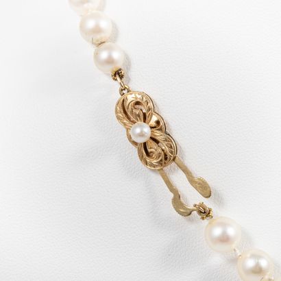 null MIKIMOTO 

Collier perles de culture en choker diam: 6.5mm environ, fermoir...