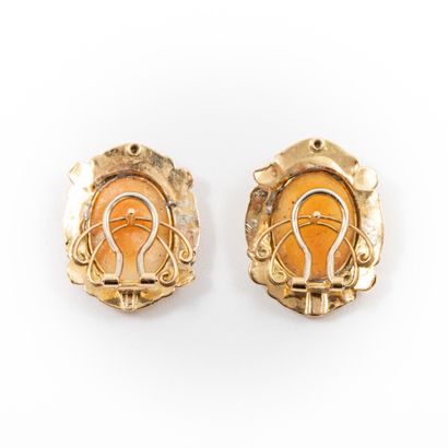 null Pair of earrings with elegant engraved cameo on shell, gold setting 

Gross...