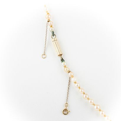 null Necklace in fall, cultured pearls, diam: 3mm to 6.8mm approximately, gold clasp...